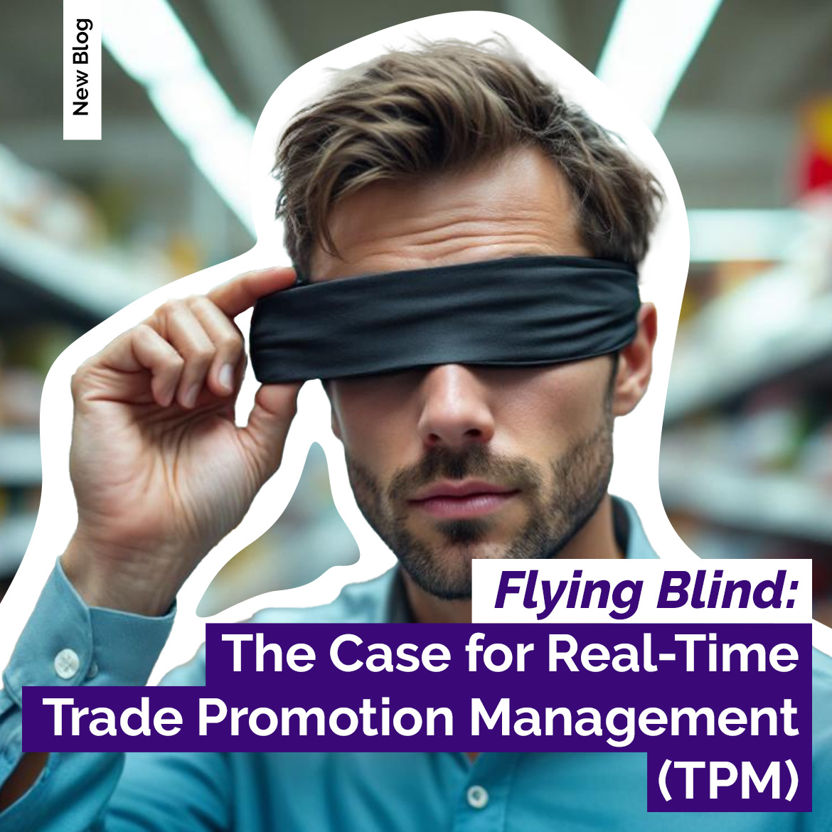 Trade Promotion Management 